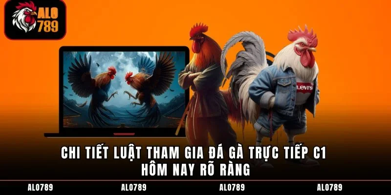 Chi tiết luật tham gia đá gà trực tiếp C1 hôm nay rõ ràng