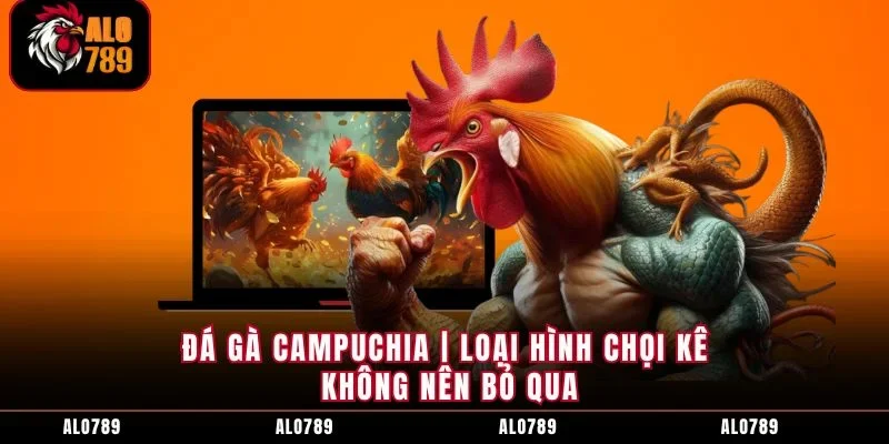 Đá Gà Campuchia | Loại Hình Chọi Kê Không Nên Bỏ Qua