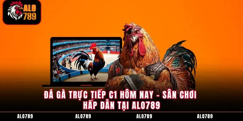 Đá Gà Trực Tiếp C1 Hôm Nay - Sân Chơi Hấp Dẫn Tại ALO789