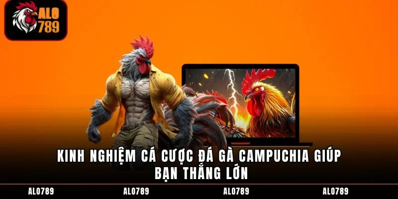 Kinh nghiệm cá cược đá gà Campuchia giúp bạn thắng lớn