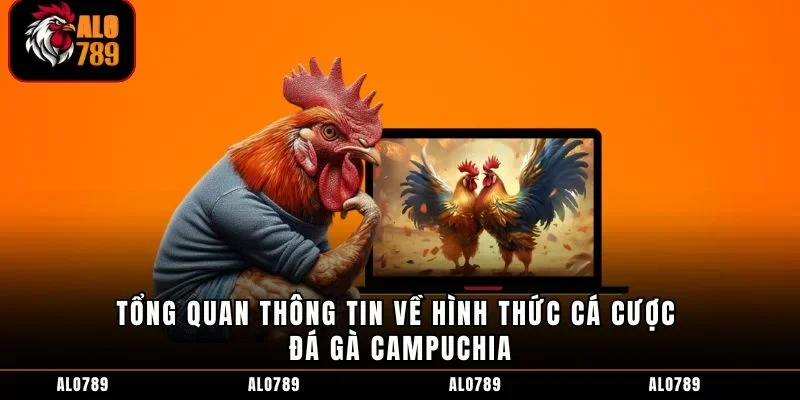 Tổng quan thông tin về hình thức cá cược đá gà Campuchia